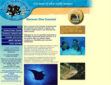 Tablet Screenshot of divecozumel.net